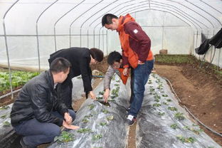 中國農學會專家深入普定開展精品水果優質化栽培管理培訓，助推水果種植產業升級
